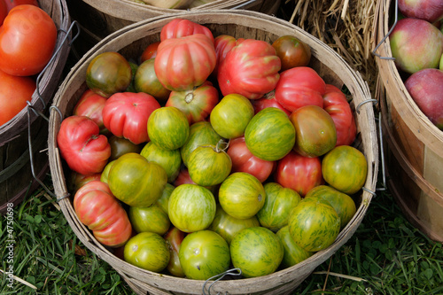 Photo: Heirloom tomatoes Heirloom tomatoes