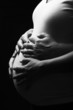 Foto: babybauch babybauch