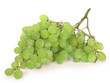 Green Grape