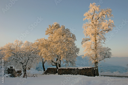 frost2