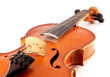 Violin isolated on white