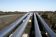 Photo: pipelines pipelines