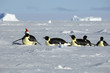 Antarctic Christmas procession