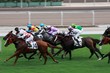 Photo en ligne au meilleur prix Horse Racing