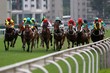 Horse Racing