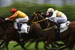 Horse Racing