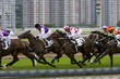 Horse Racing
