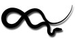 serpent noir ombre serpent noir ombre