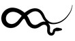 serpent noir