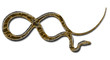 serpent bijou or