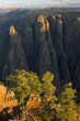 Black Canyon of the Gunnison National Park