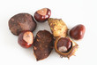conkers