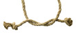 Variants of the rope with node Variants of the rope with node