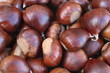 castagne - autunno castagne - autunno