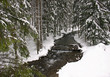 Winter landscape