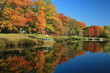 Fall reflections