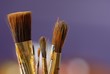 pinceaux en gros plan sur fond violet