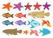 fishes and starfish 