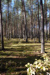 Autumn around us