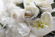 Photo en ligne au meilleur prix rings