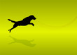 Animals Silhouette - Dog 