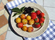assiette de fruits