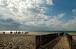 Reiten am Strand