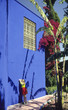 Cache cache à Majorelle