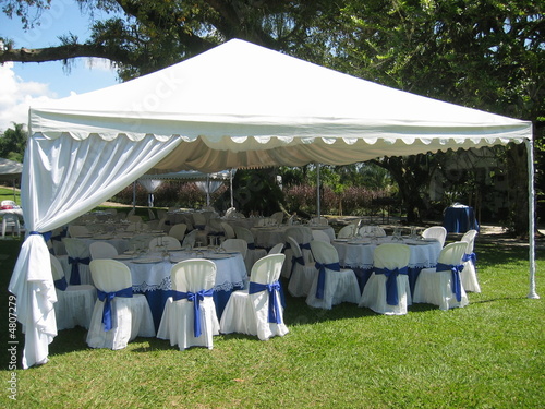 Wedding Reception on Wedding Reception    Gviscomi  4807279   See Portfolio