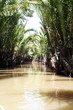 Ein Nebenarm des Mekong-Delta in Vietnam