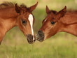 Photo: Just Kiss Me Just Kiss Me