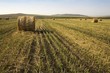 Foto: Hay Bale Hay Bale