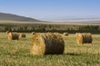 Foto: Hay Bale Hay Bale