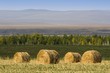 Foto: Hay Bale Hay Bale