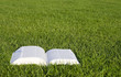 Open book on green grass 2 Open book on green grass 2