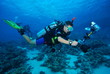 Photo: diver with camera diver with camera