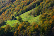 Mountain farm and fall trees