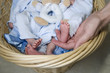 Tiny Toes
