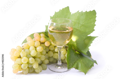 white wine white wine