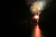 FireWork No. 29
