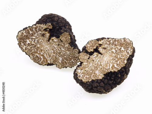 schwarzer trüffel