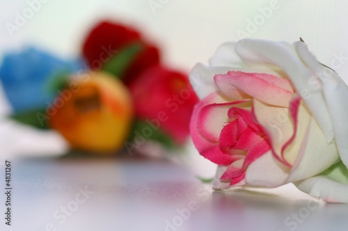 Foto: Valentine Roses(hand made series) Focus on White Valentine Roses(hand made series) Focus on White
