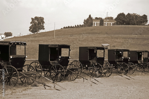 Photo: Buggy Dealer Buggy Dealer