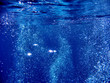 Blue Ocean