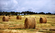 Straw bales