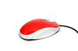 Computer mouse isolated on white