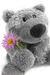 Soft toy the bear  with a flower on a white background