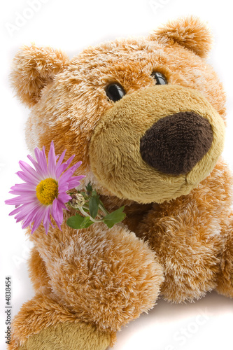 Photo: Soft toy the bear with a flower on a white background Soft toy the bear with a flower on a white background
