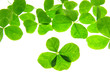 four clover four clover
