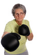 Senior boxe